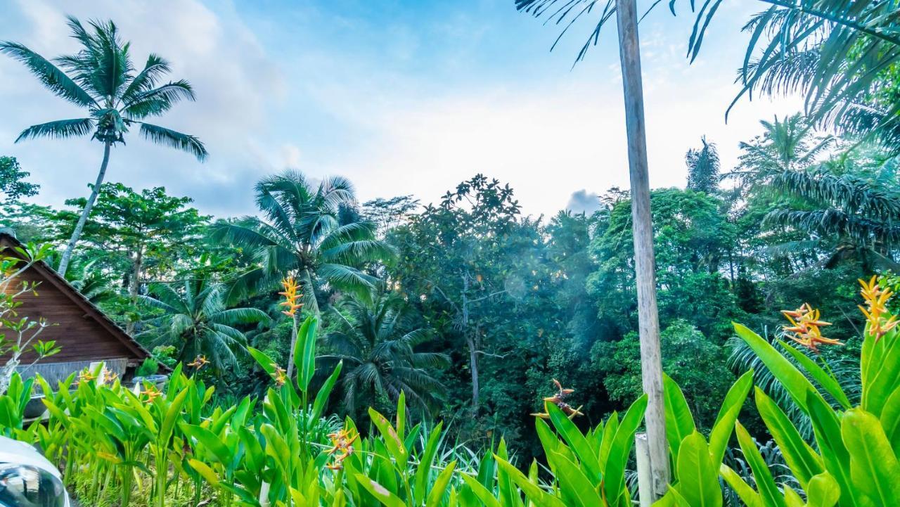 Iyume Villas Теґалаланґ Екстер'єр фото